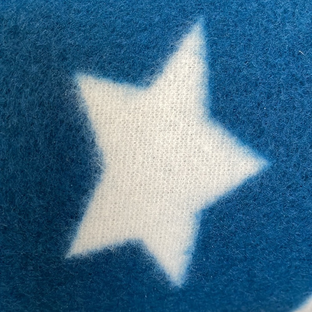 Mickey Mouse 1928 Picnic Limited Edition Picnic Blanket. Americana Collection - Picture 5 of 5